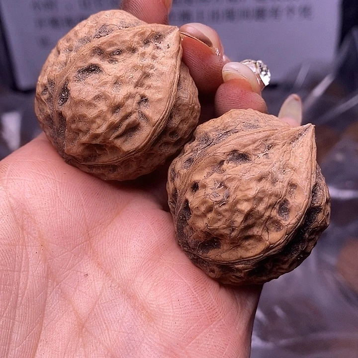 核桃云南野生铁核桃183号37mm