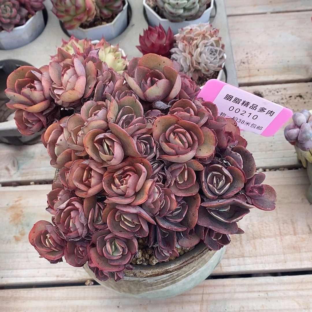 10哦老师咯哦哦我哦装修我哦哦