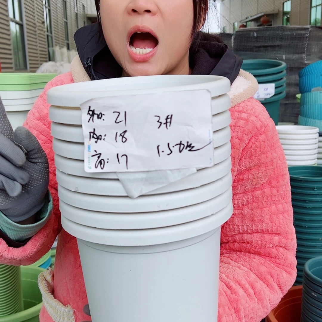 四季盆3#白色10个无托