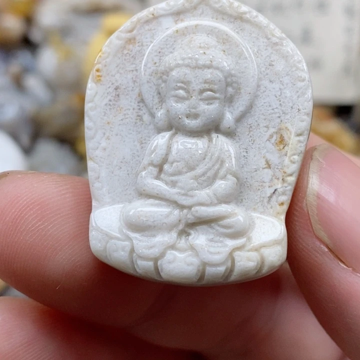 颈饰未镶嵌硅化珊瑚（珊瑚玉）小