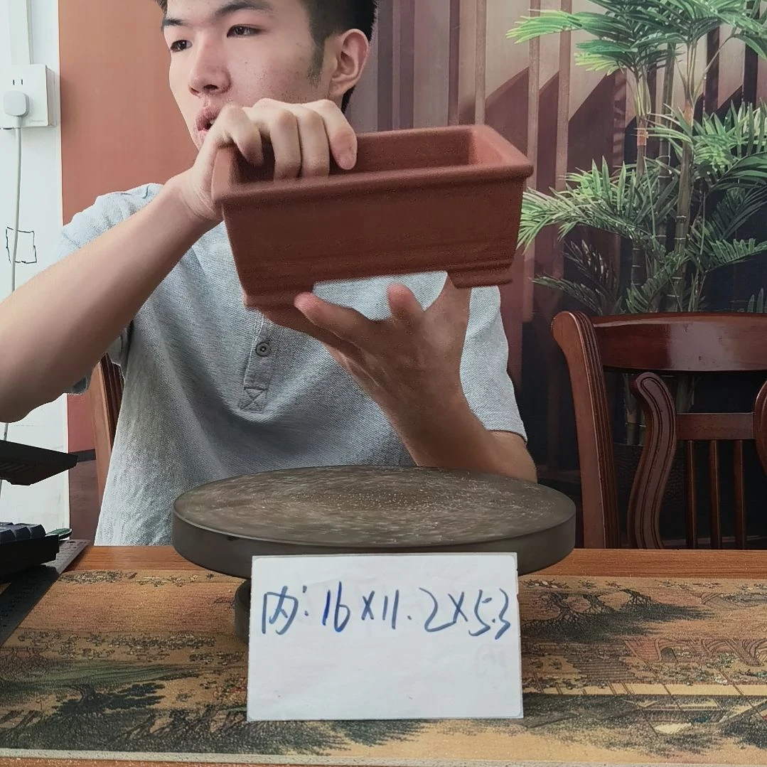 来来来啦咯啦咯啦咯