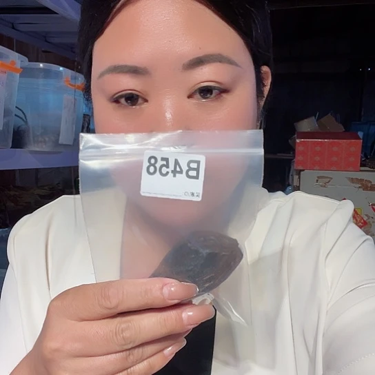 大果紫檀（缅甸花梨）亚*458