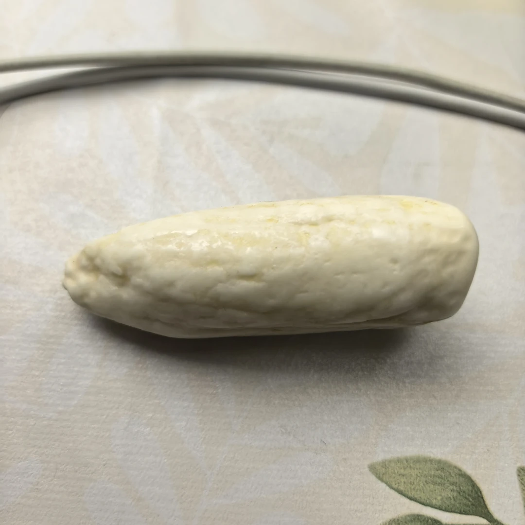 猛犸虬臼齿 全品