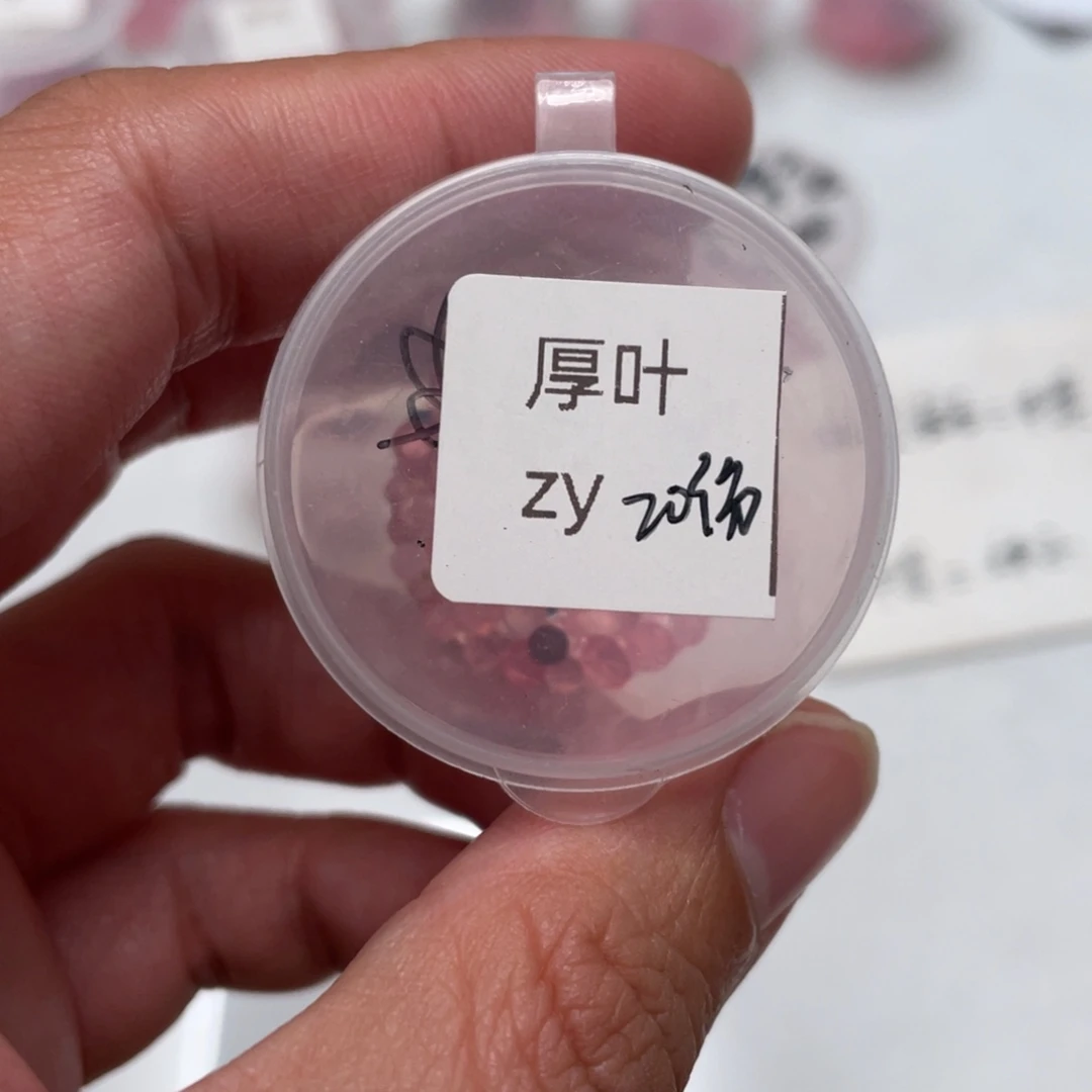 厚叶✖️皱叶20粒，，