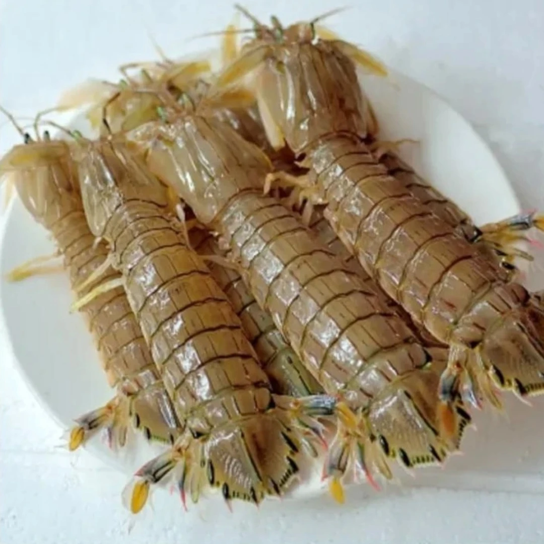 母虾爬子（皮皮虾一斤13个左右）保鲜不保活顺丰发货