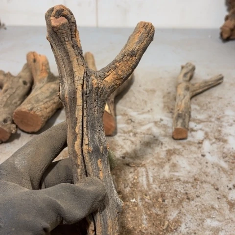 大果紫檀（缅甸花梨）水****争