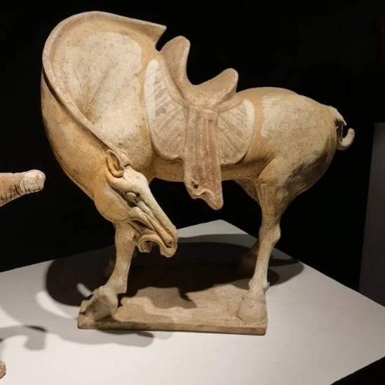 青***山陶瓷标本123456789