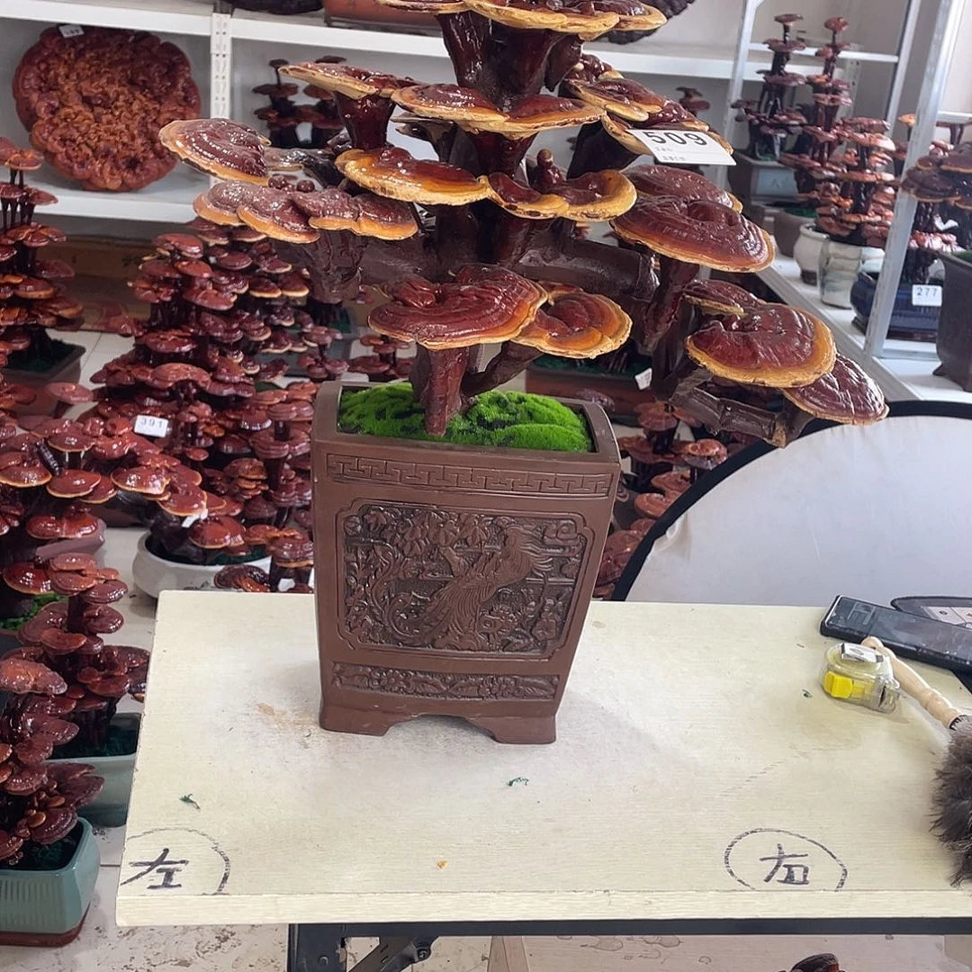 全部花朵55555555555555555