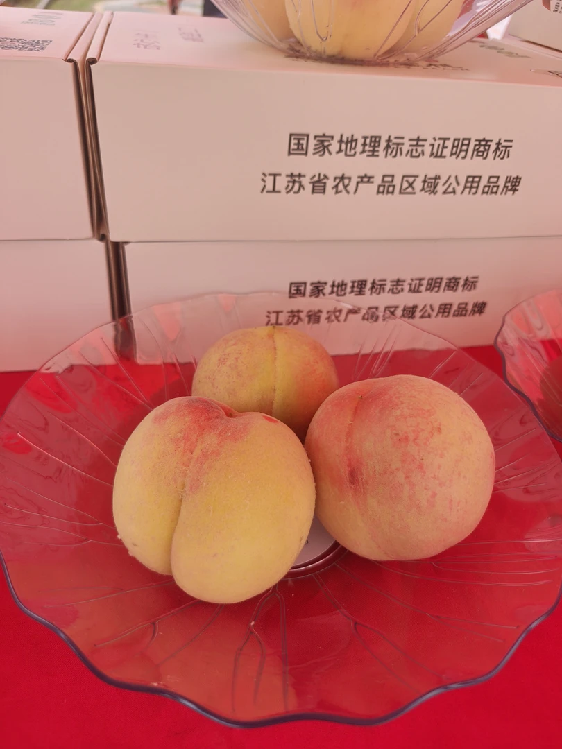 新鲜脆甜软糯水蜜桃当季时令水果现摘现发