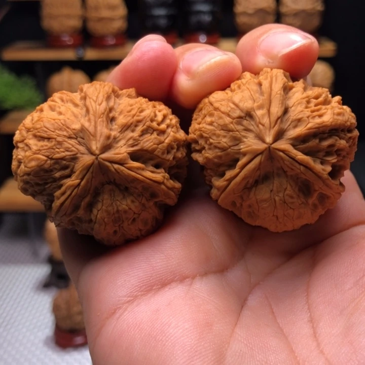 【闪购商品】不**觉铁狮子三棱2