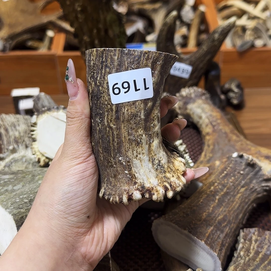 手串/手链鹿骨1169驼鹿角根