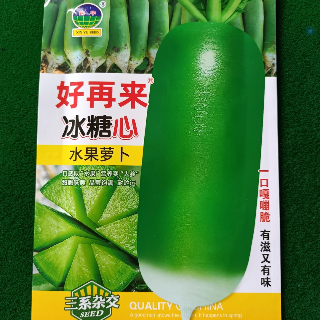 好再来冰糖心水果绿萝卜种子