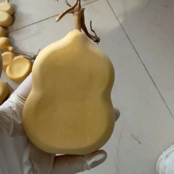 ****李竹类保定墩扁葫芦