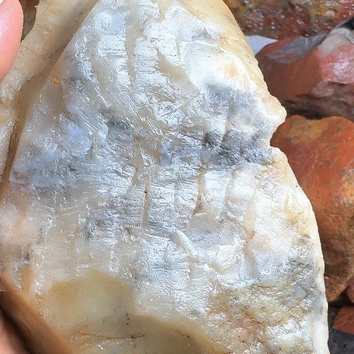 牛***冰寿山石寿山石的种类