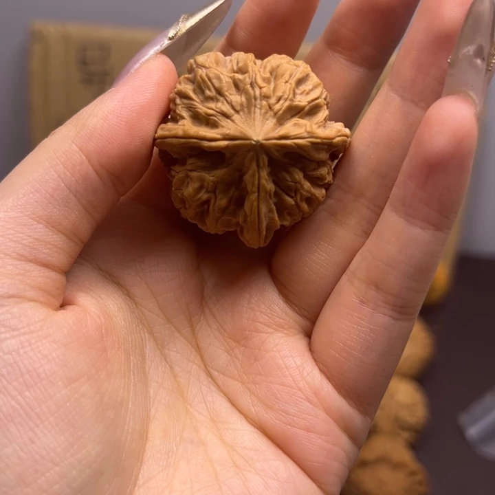 谢***行菩提籽类丁字三棱单只异型有瑕