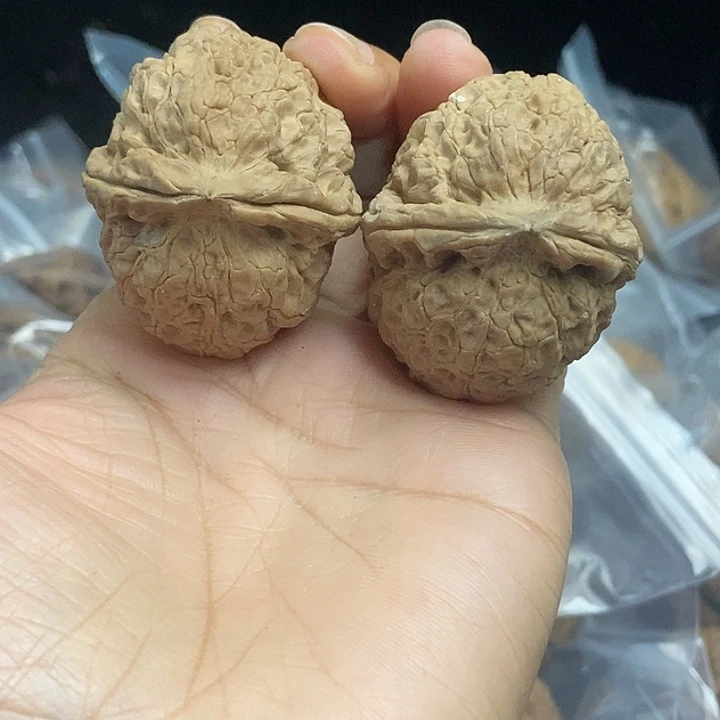 木质类云南铁核桃基地52