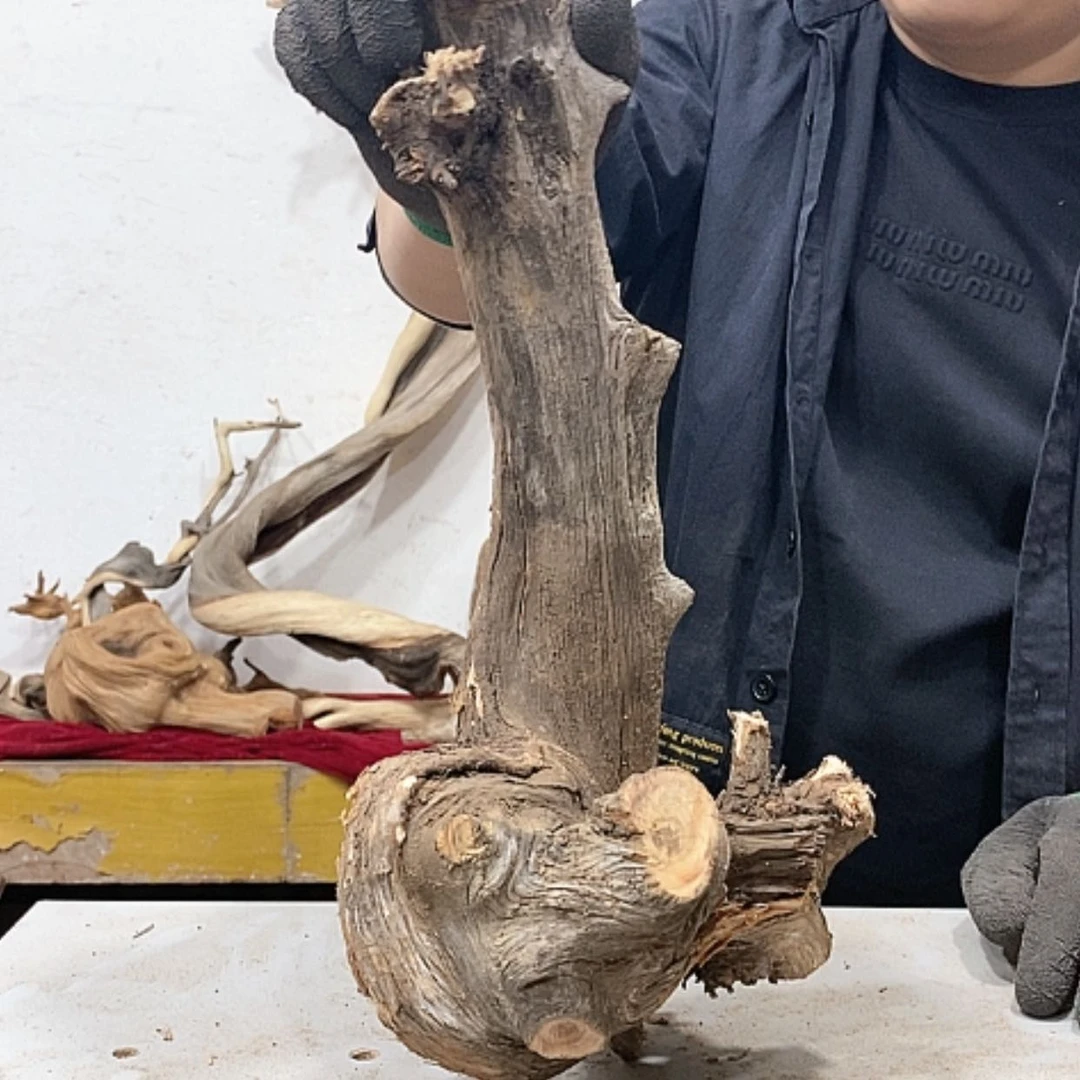 【闪购商品】柏木林*明我们的目标是成为一