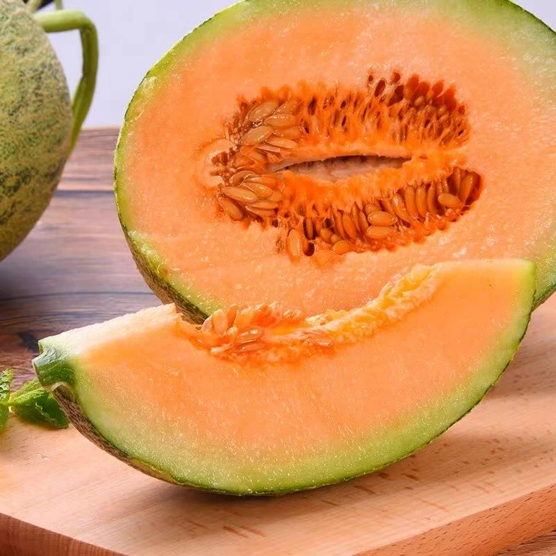 新疆哈密瓜.产地直发.【顺丰包邮】.坏果包赔