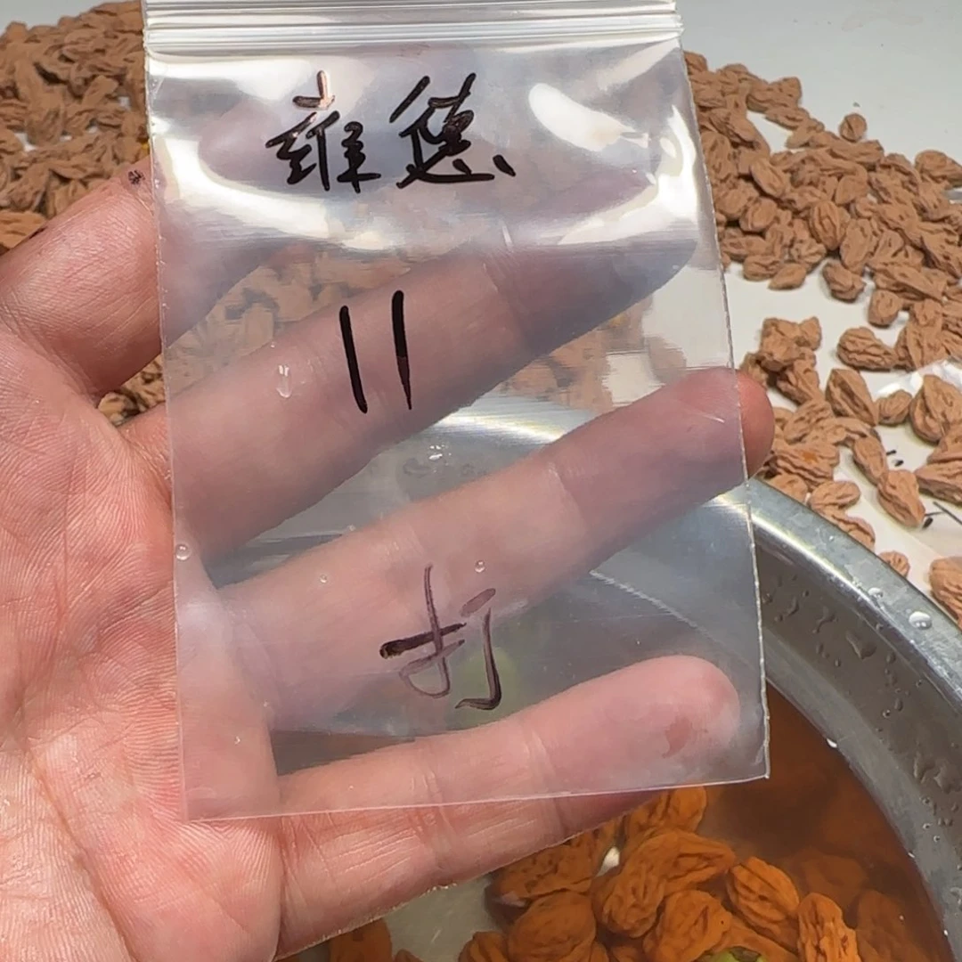 文玩核桃手串11颗打孔不编绳