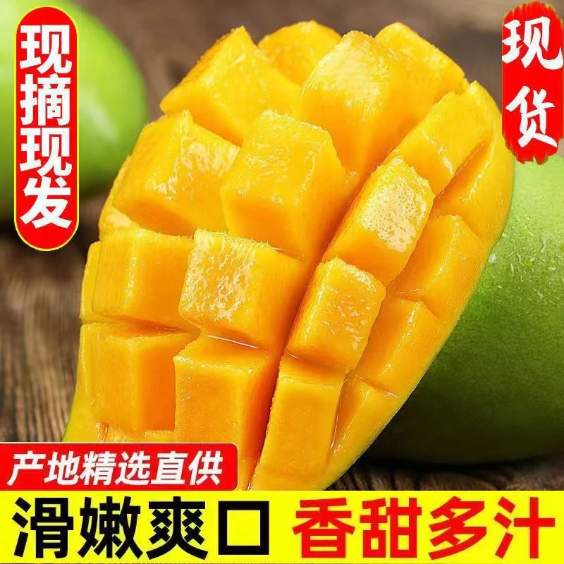 越南大青芒果带箱3斤单果300-500克塑料袋密封放软催熟吃