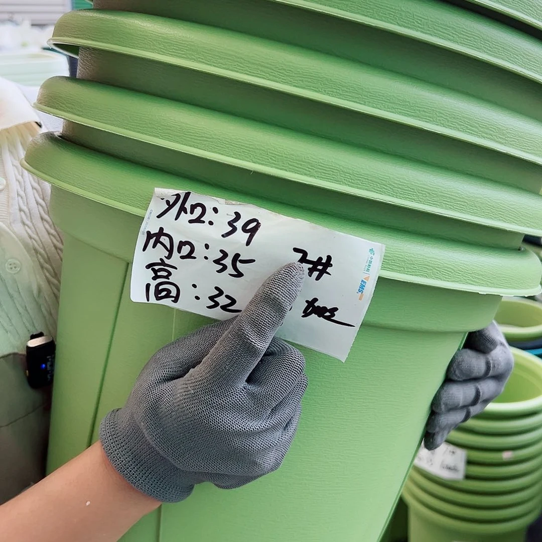 瑕疵青山盆7#果绿色5个无托