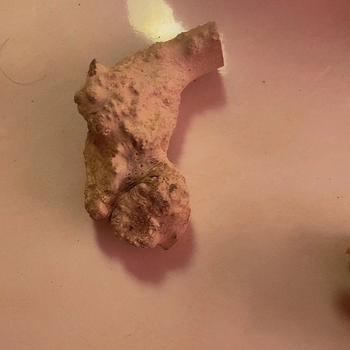 云***起黄杨木等多种木材