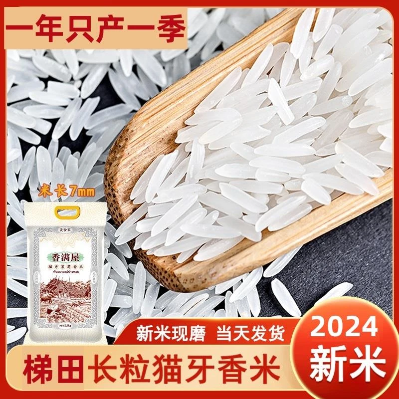 2024年新米杨盛猫牙米现磨梯田大米油粘米长粒香米粮油店
