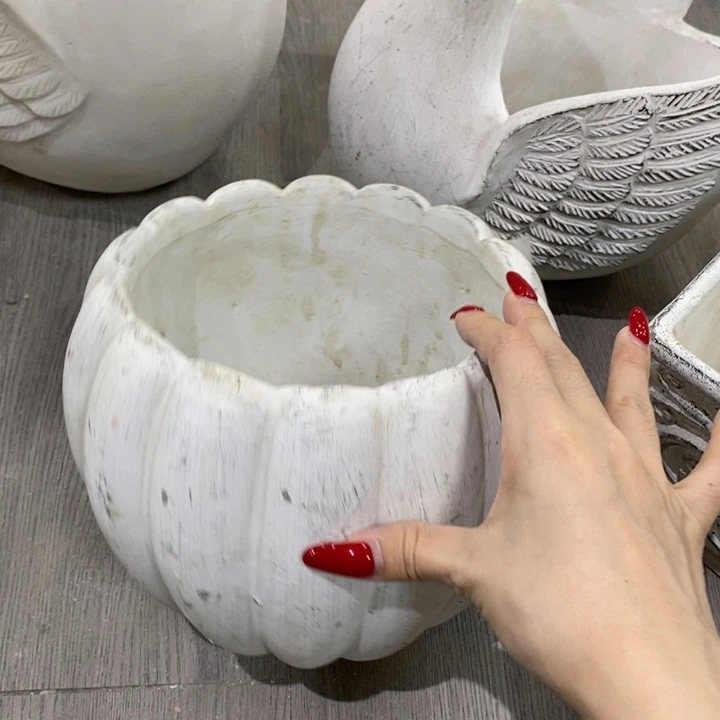 花盆5588888000000000000000