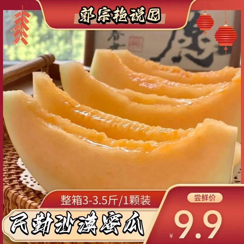 【主播补贴】甘肃民勤蜜瓜黄河蜜甜瓜新鲜水果当季清甜多汁现摘发