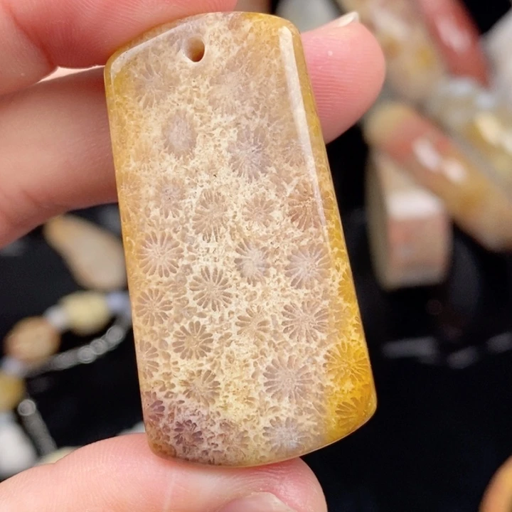 硅化玉未镶嵌颈饰