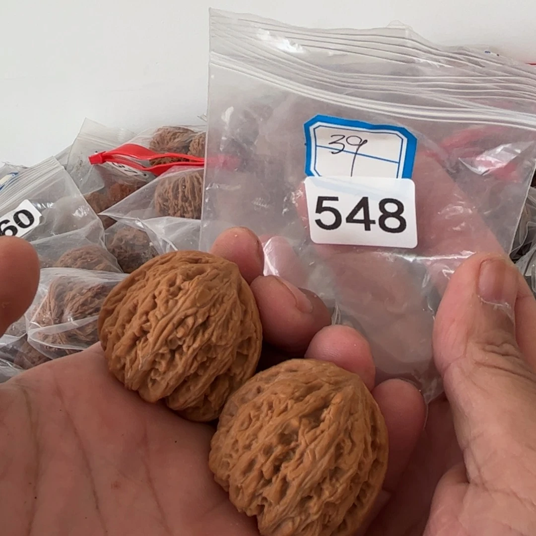 吊坠文玩核桃密纹39