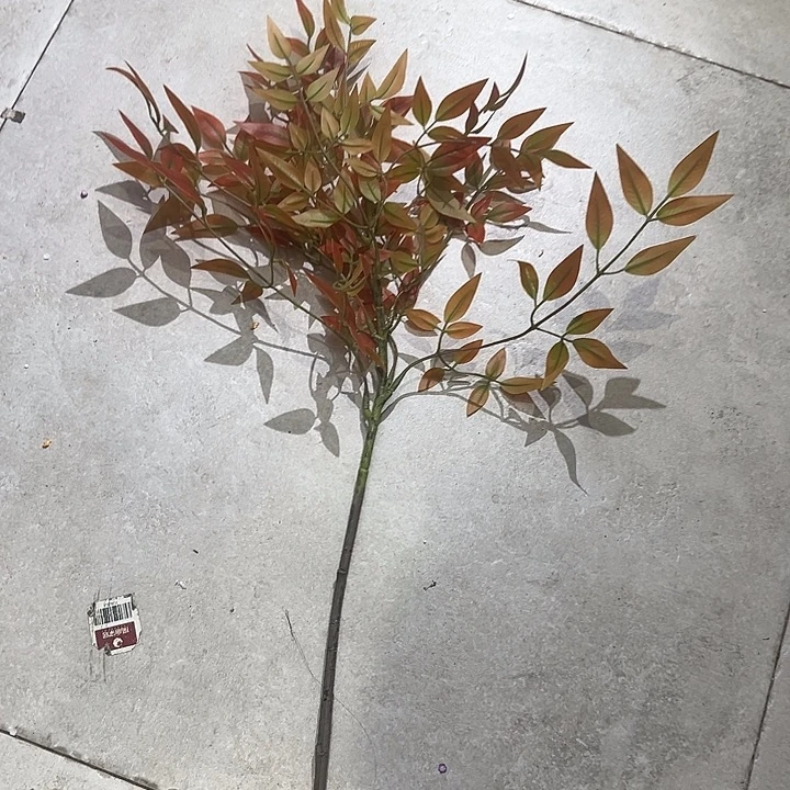 拍品大福利大福利大福利