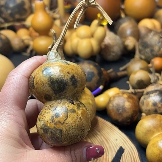 立*葫芦葫芦葫芦葫芦