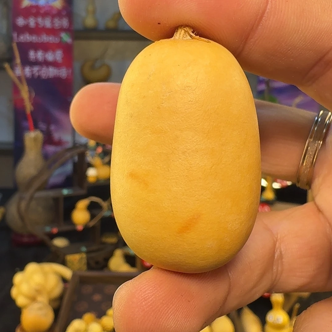 一***糖葫芦窝瓜定向定向定向