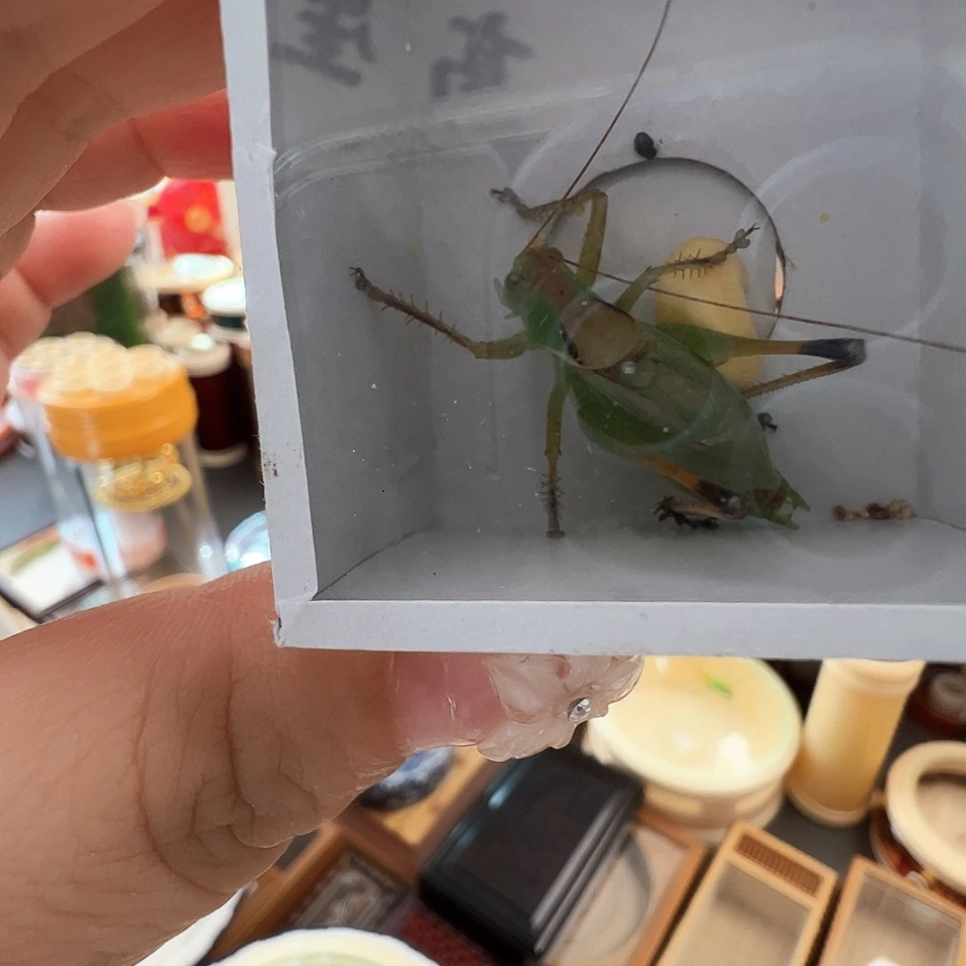 哈哈哈哈哈扎嘴两个