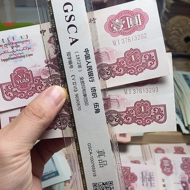 胡***改退市人民币2张如图