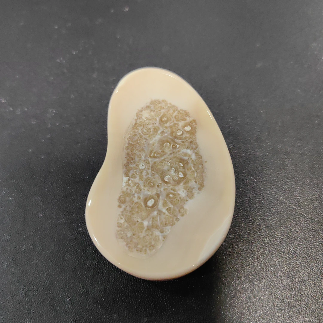 猛犸猛犸虬饼子 WW910