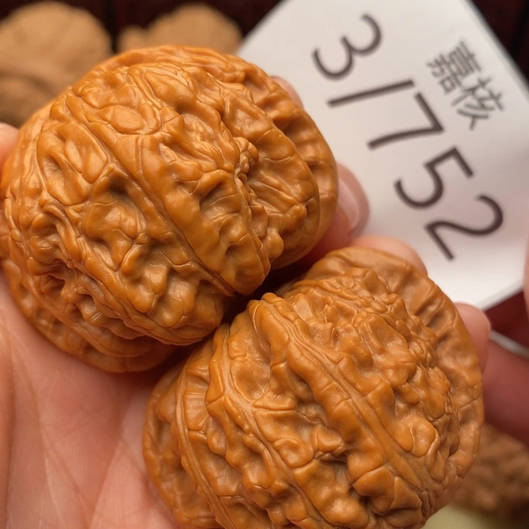 把件文玩核桃44白狮子