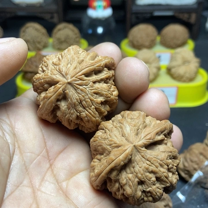 核桃疏*山地大粗筋