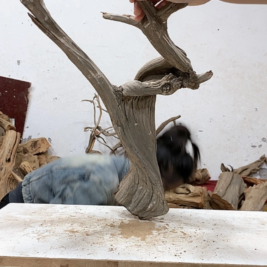 【闪购商品】柏木自****行我们都是好孩子