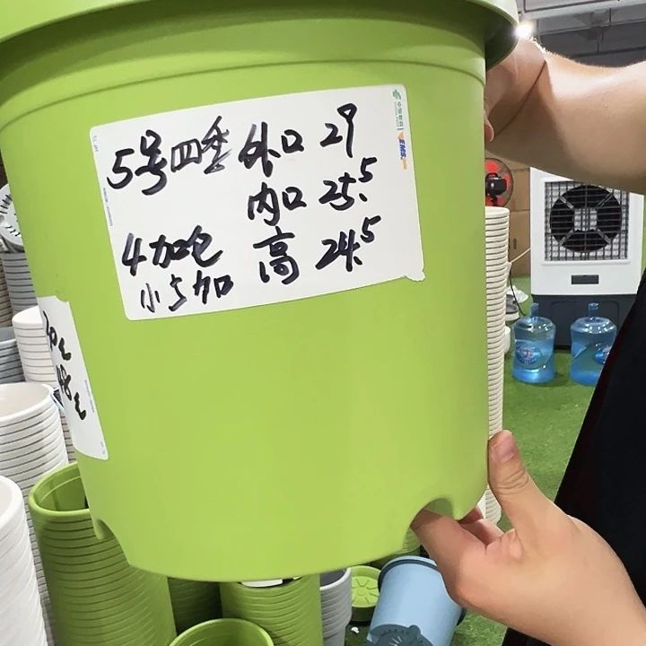 特价5号口29高24.5果绿无托6只