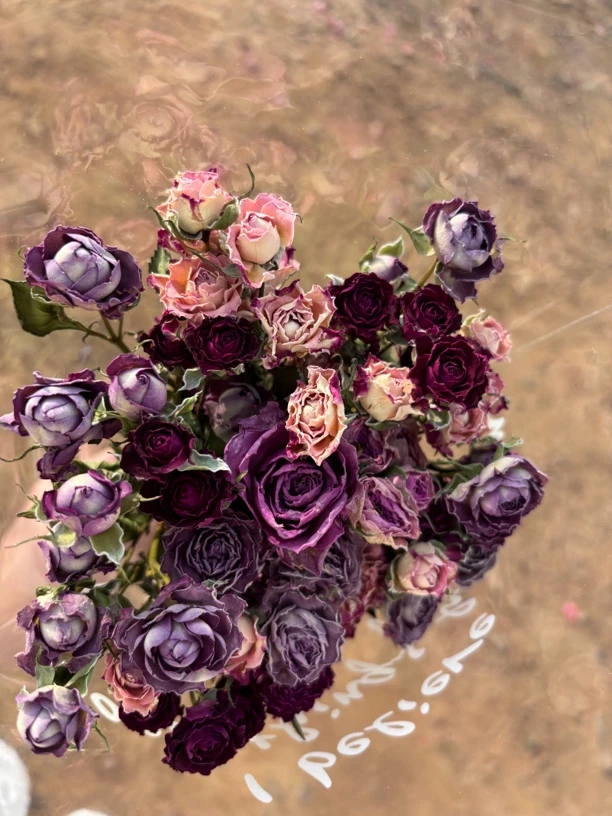 迷你干花玫瑰链接冲冲冲~