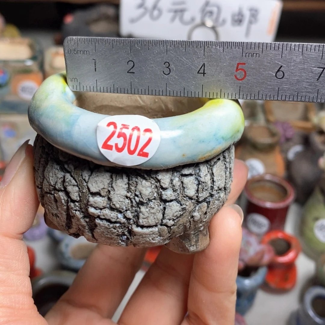 花盆拍3送一个小礼物