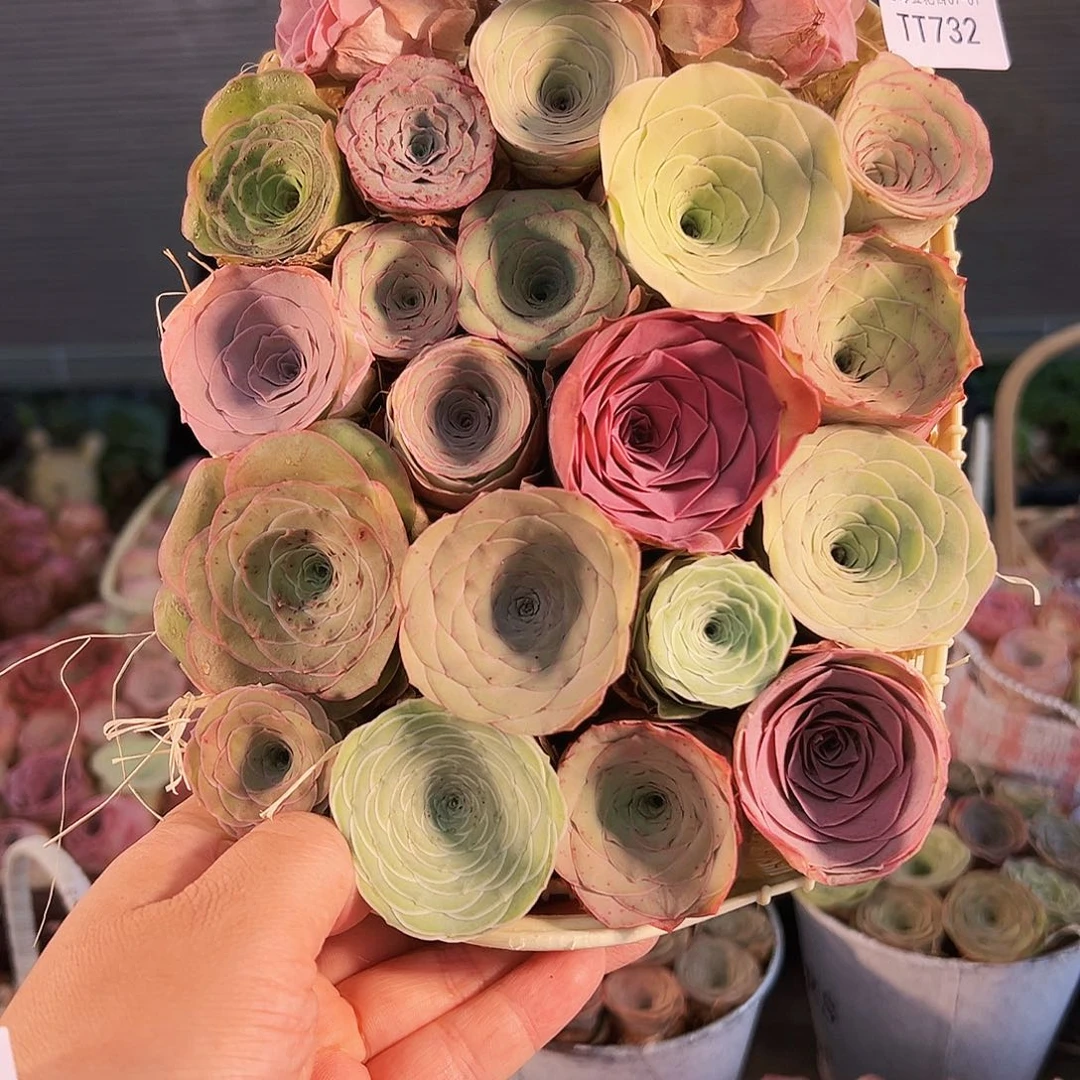 村***T732。玫瑰混。花篮。