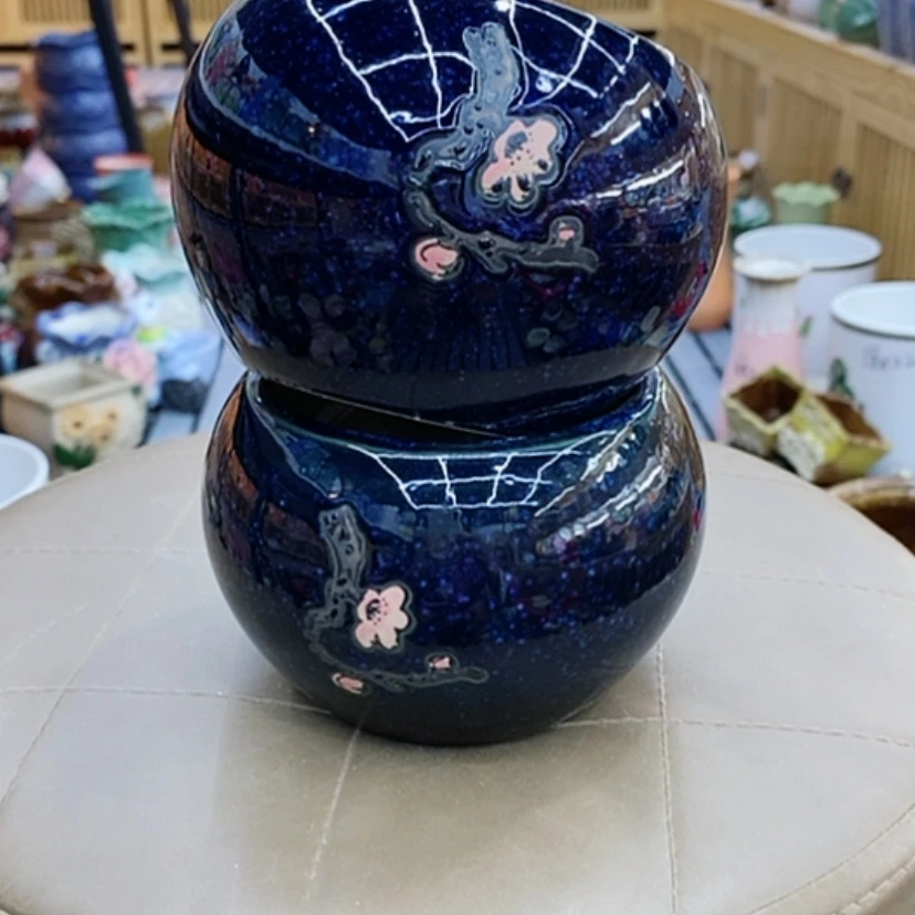 【闪购商品】福利花盆9.99包邮