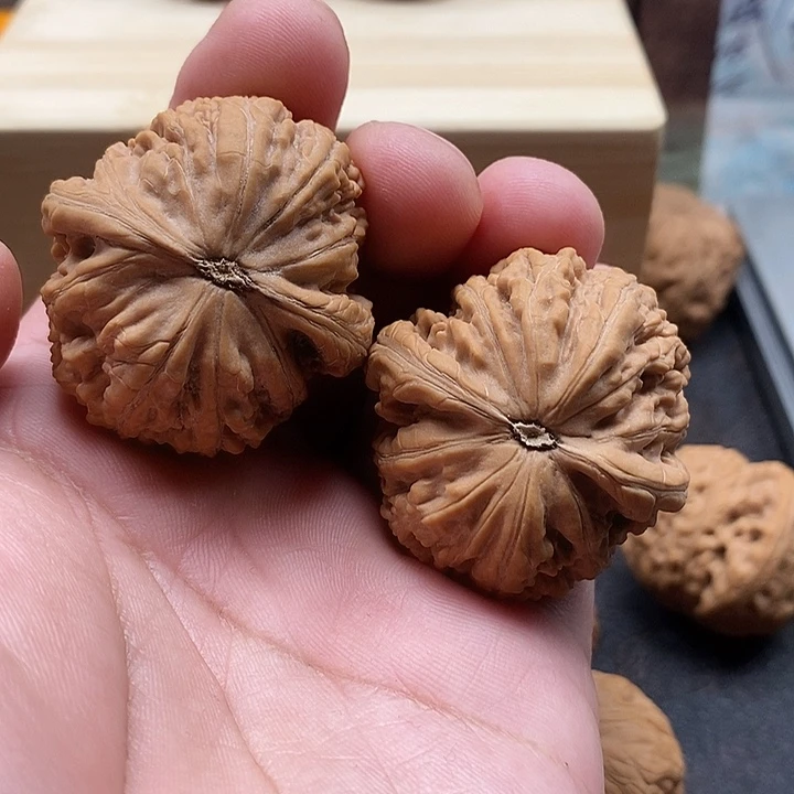 搵***长把件文玩核桃蛟龙全品