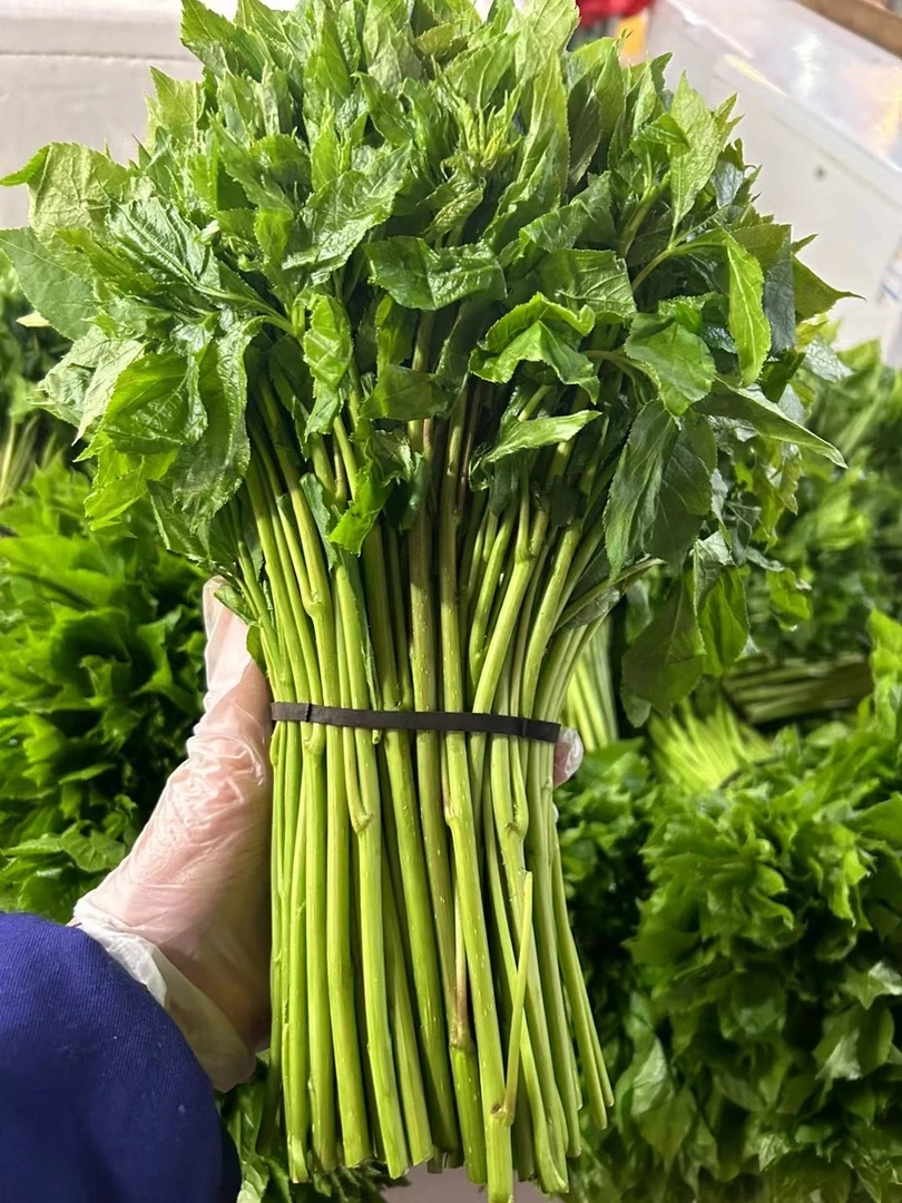 东北新鲜山菜刺五加 刺果棒2斤包邮顺丰空运