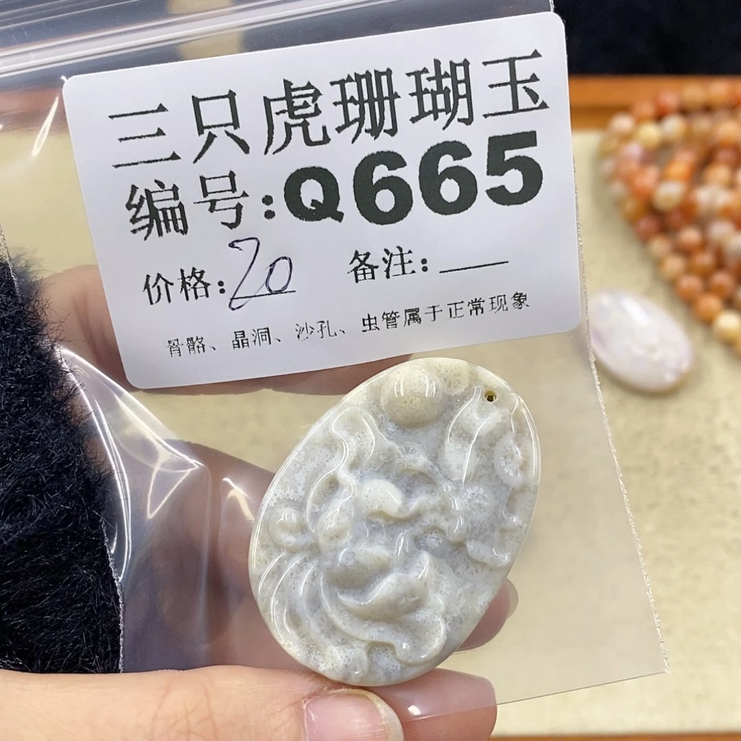 硅化珊瑚（珊瑚玉）1未镶嵌月****)