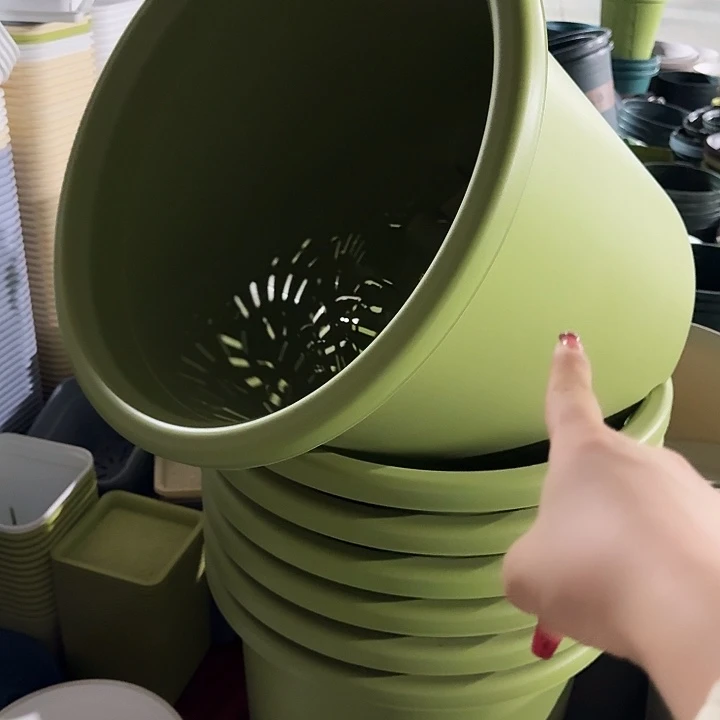 四季12号果绿无托2个