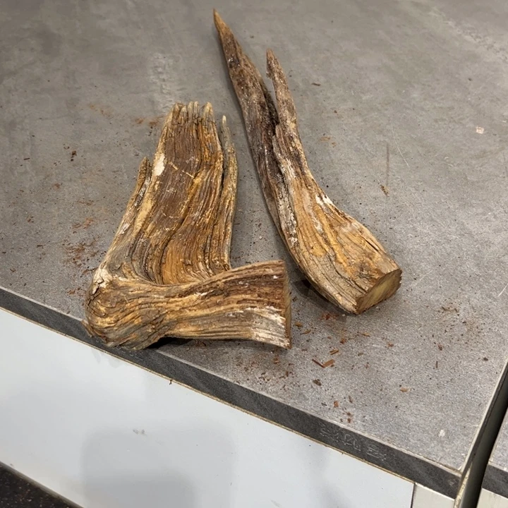 柏***哥柏木崖柏等自然资源和生态资源